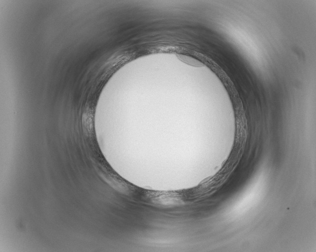 X0000115020191200912071035