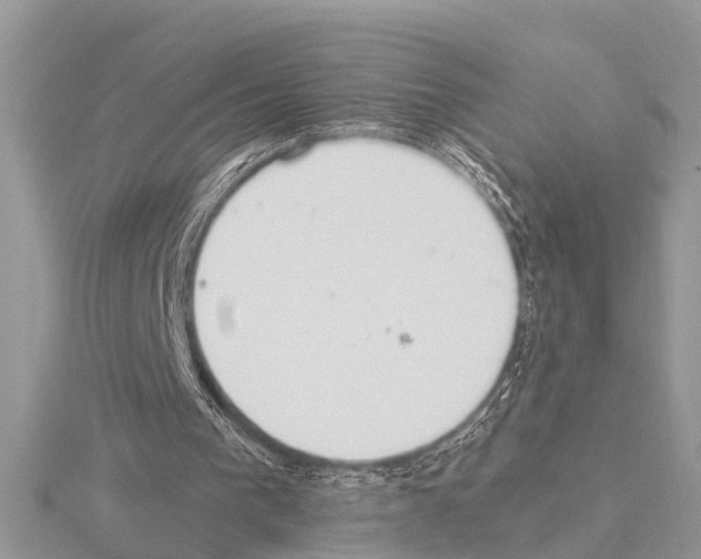 X0000115020193200912071034