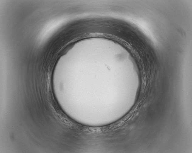 X0000115020194200912071034