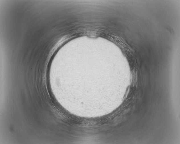 X0000115020195200912071034