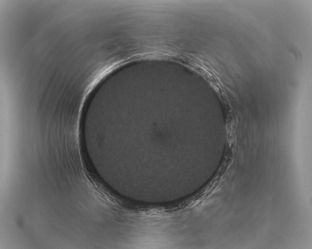 X0000115020196200912071034