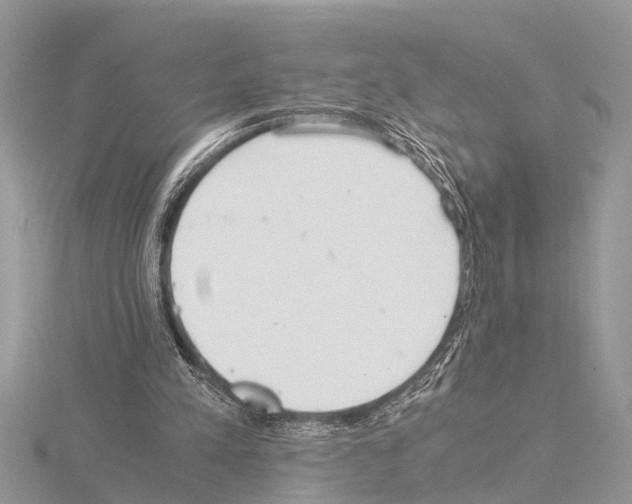 X0000115020197200912071034