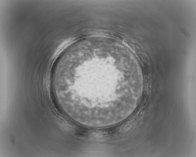 X0000115020199200912071034