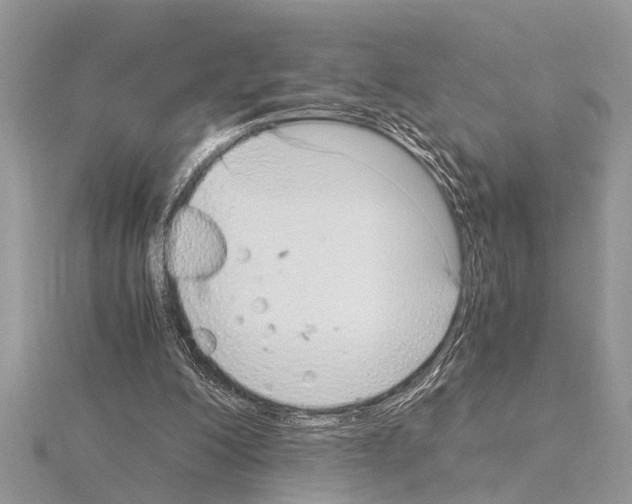 X0000115020200200912071034