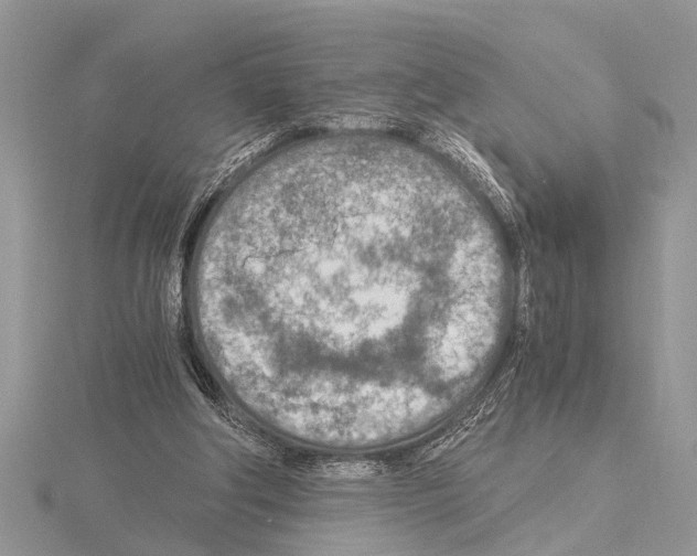 X0000115020202200912071034