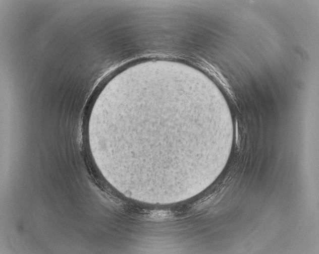 X0000115020204200912071034