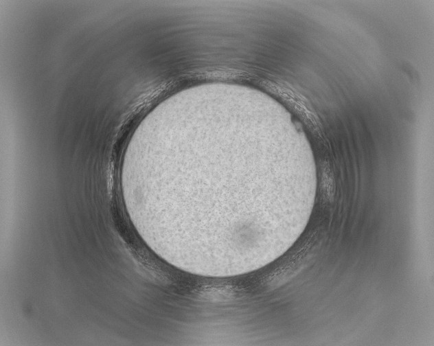 X0000115020206200912071034