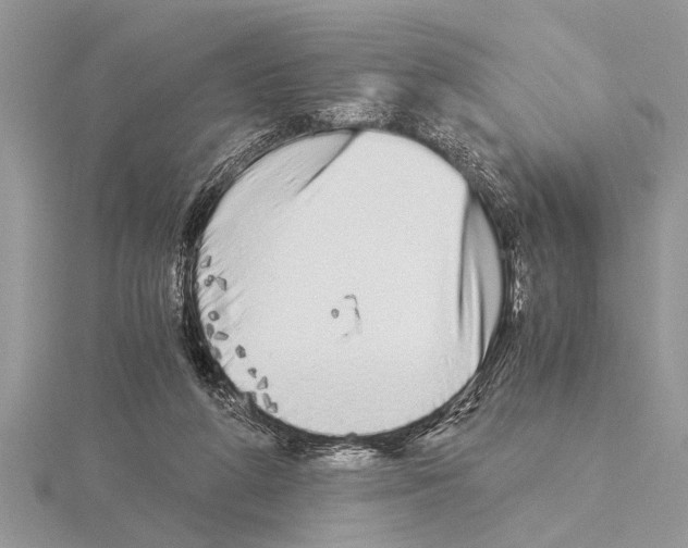 X0000115020210200912071034