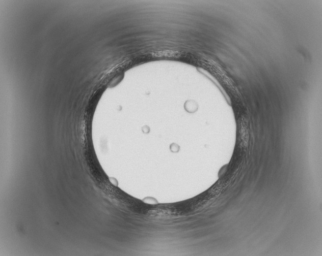 X0000115020211200912071034