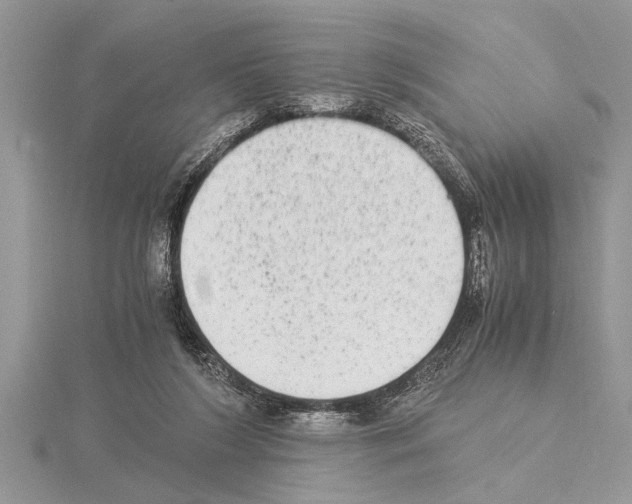 X0000115020212200912071034