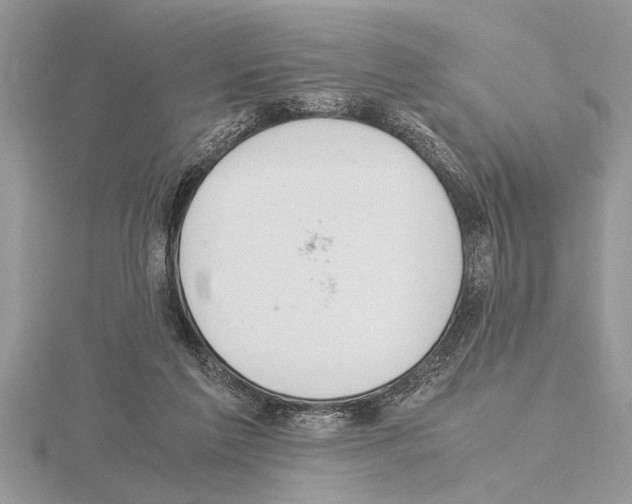 X0000115020213200912071034