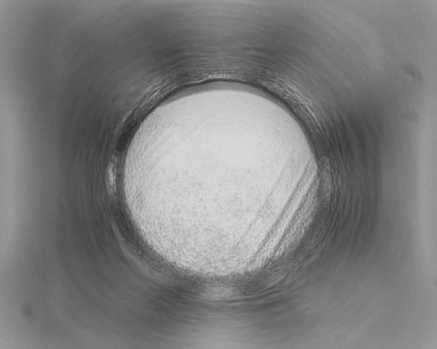 X0000115020214200912071034