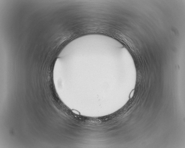 X0000115020215200912071034