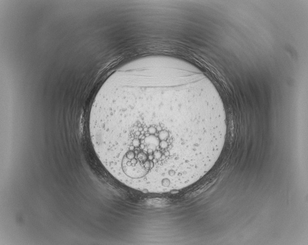 X0000115020216200912071034