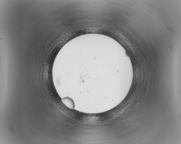 X0000115020217200912071034