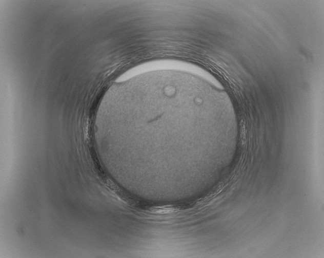 X0000115020219200912071034