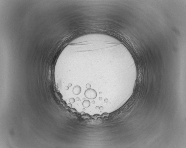 X0000115020220200912071034