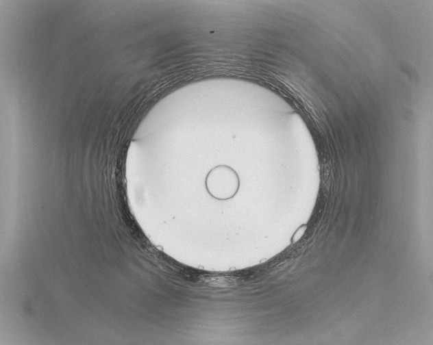 X0000115020221200912071034