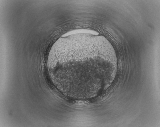 X0000115020223200912071034