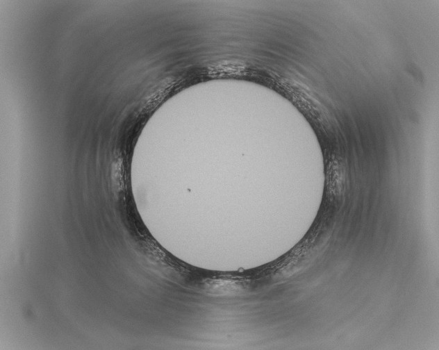 X0000115020224200912071034