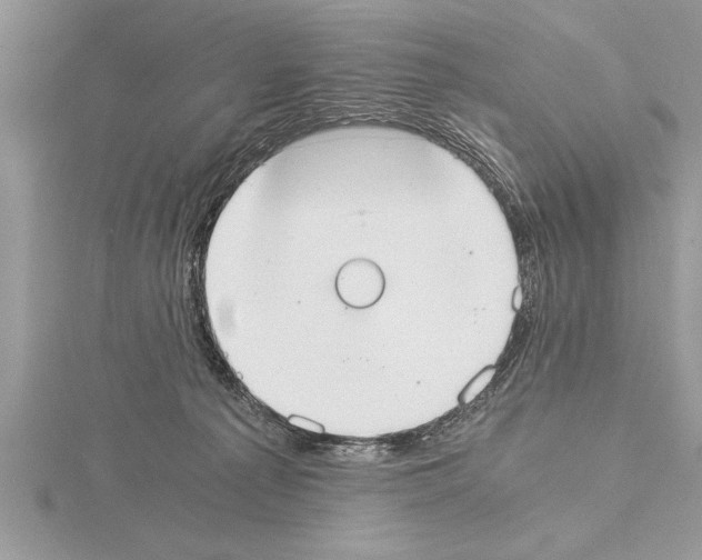 X0000115020225200912071034