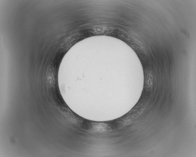 X0000115020226200912071034