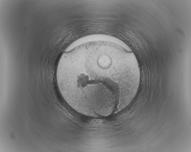 X0000115020227200912071034