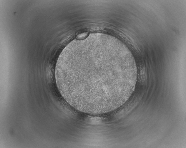 X0000115020228200912071034