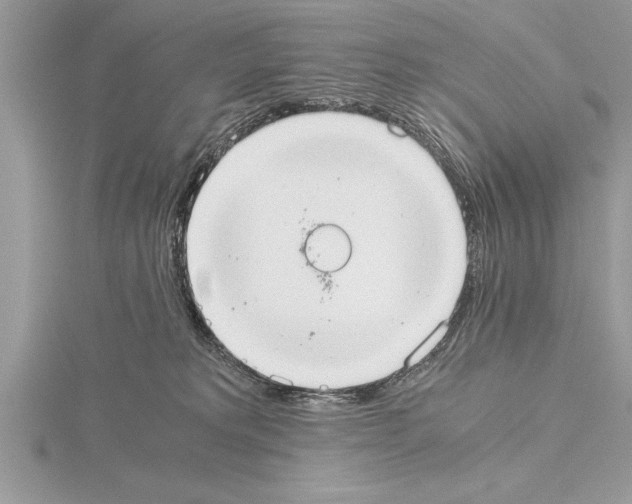 X0000115020229200912071034