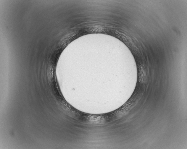 X0000115020230200912071034