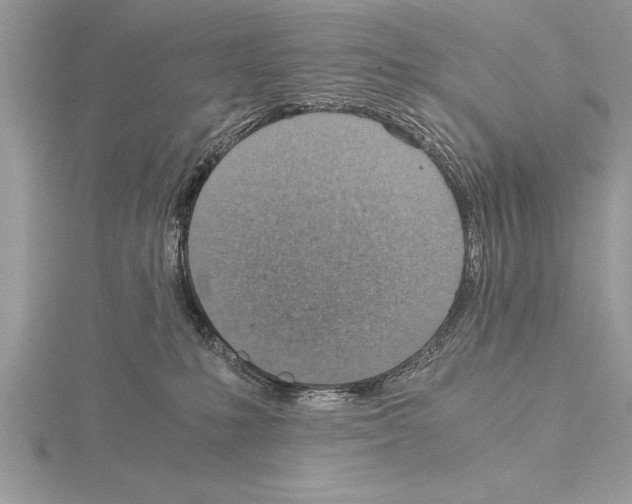 X0000115020231200912071034