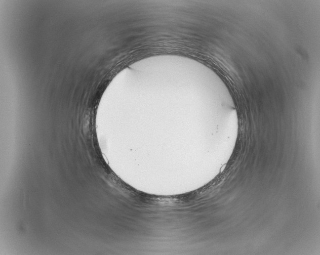 X0000115020233200912071034