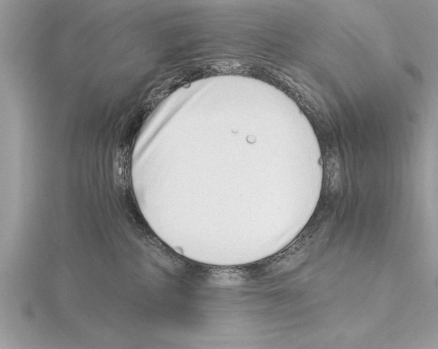 X0000115020234200912071034