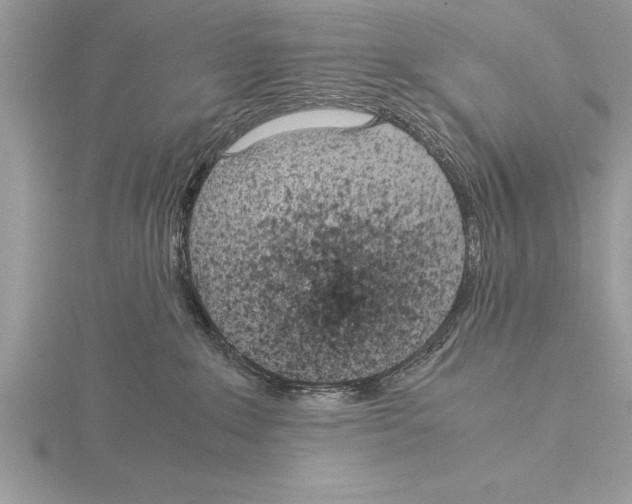 X0000115020235200912071034