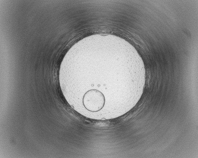 X0000115020236200912071034