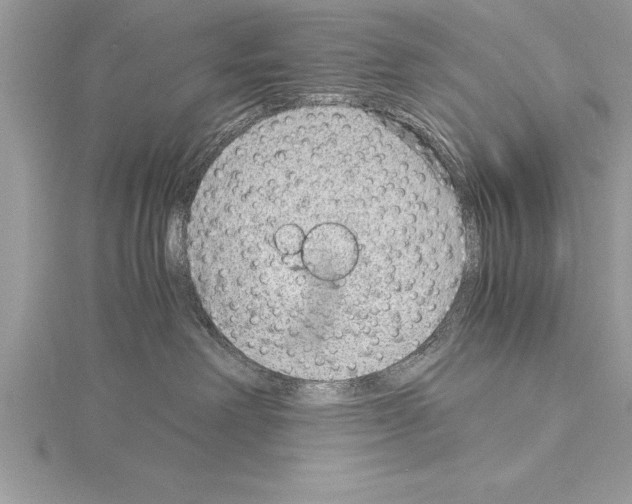 X0000115020238200912071034