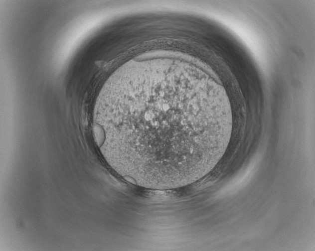 X0000115020239200912071034