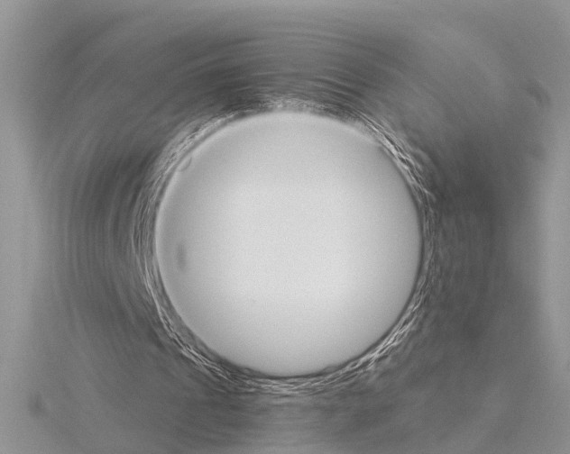 X0000115020241200912071033