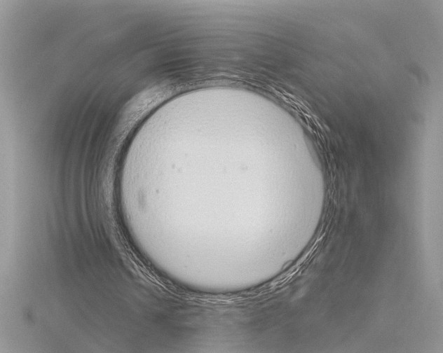 X0000115020242200912071033