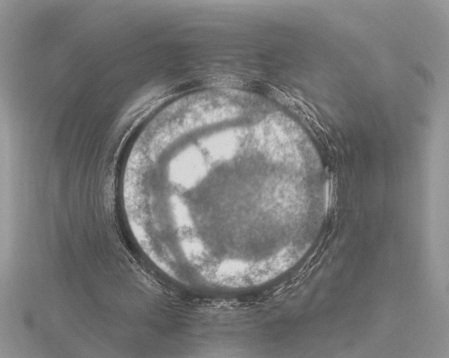 X0000115020243200912071033