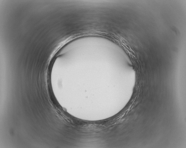 X0000115020244200912071033