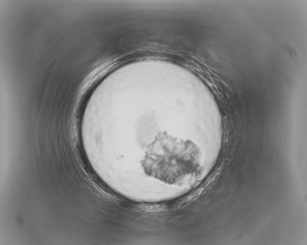 X0000115020245200912071033