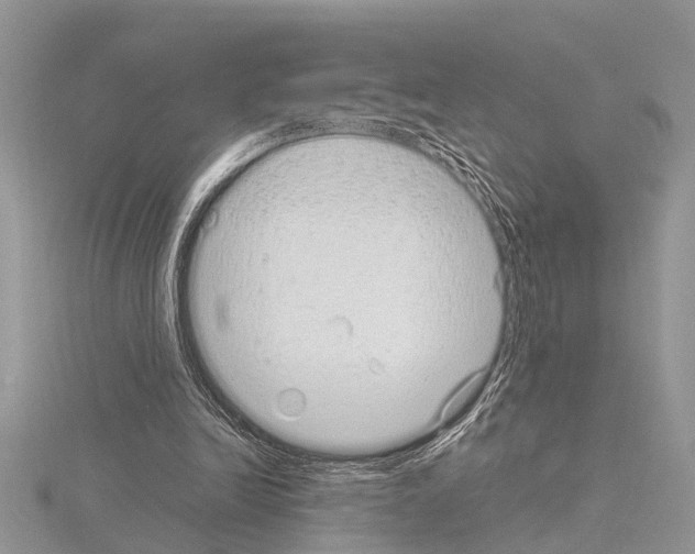 X0000115020246200912071033