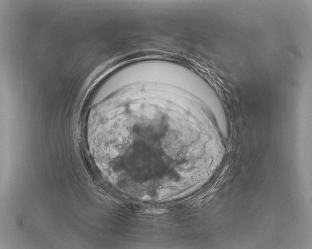 X0000115020247200912071033