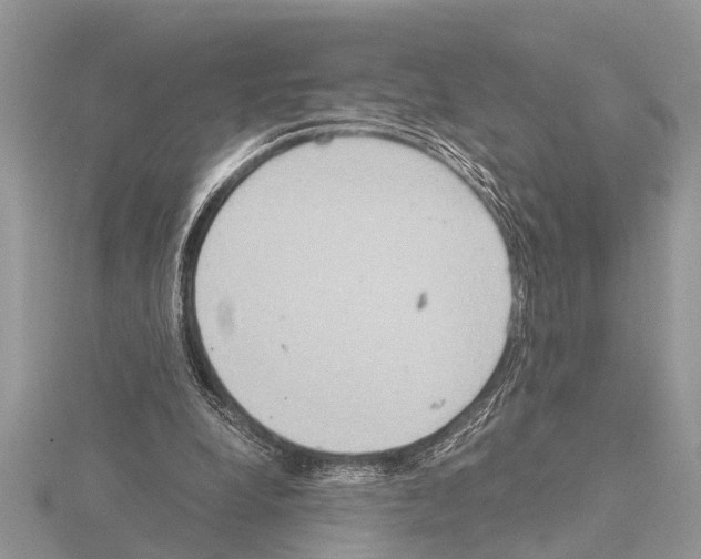 X0000115020248200912071033