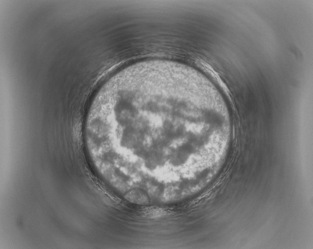 X0000115020249200912071033