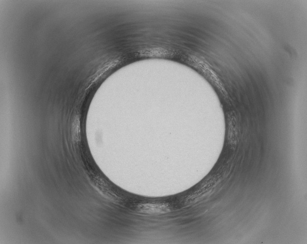 X0000115020251200912071033