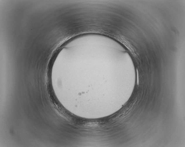 X0000115020252200912071033