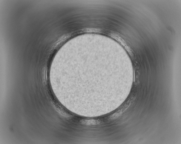 X0000115020253200912071033