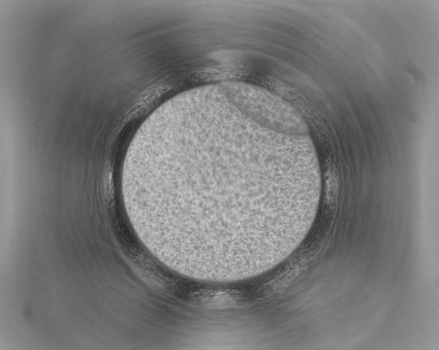 X0000115020254200912071033